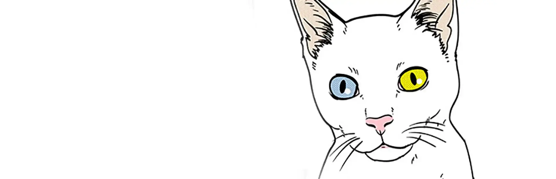 Cat Simulator background