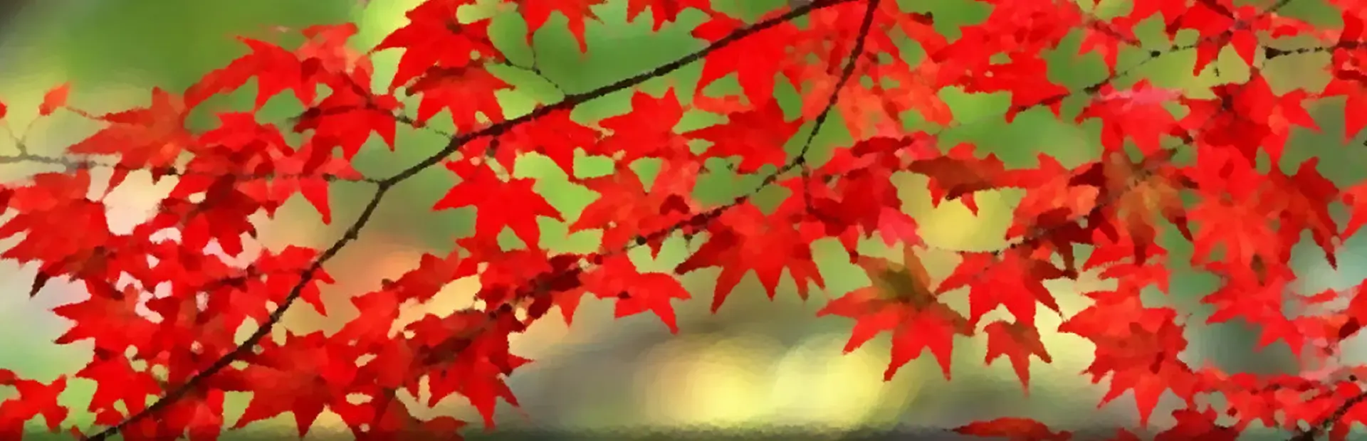 Autumn background