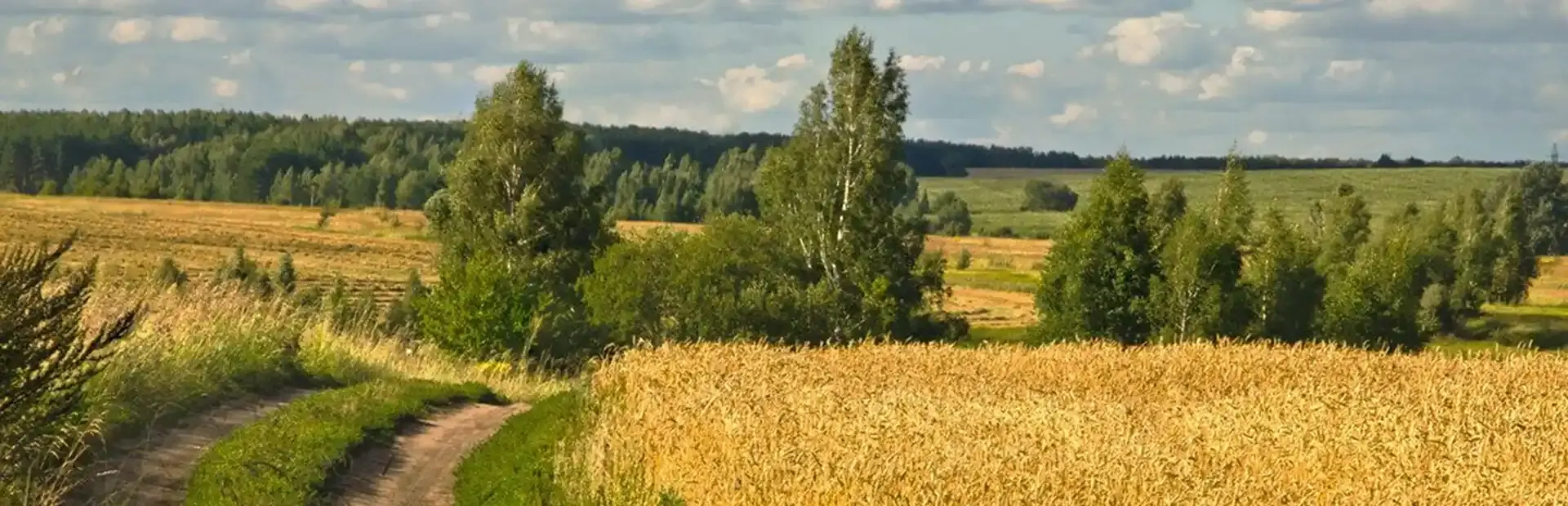 Russian Soul Simulator background