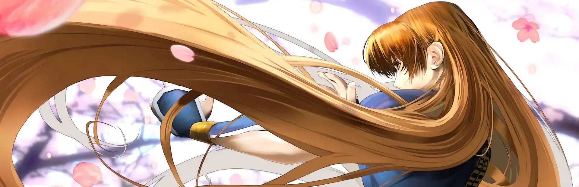 Dead or Alive: Dimensions background