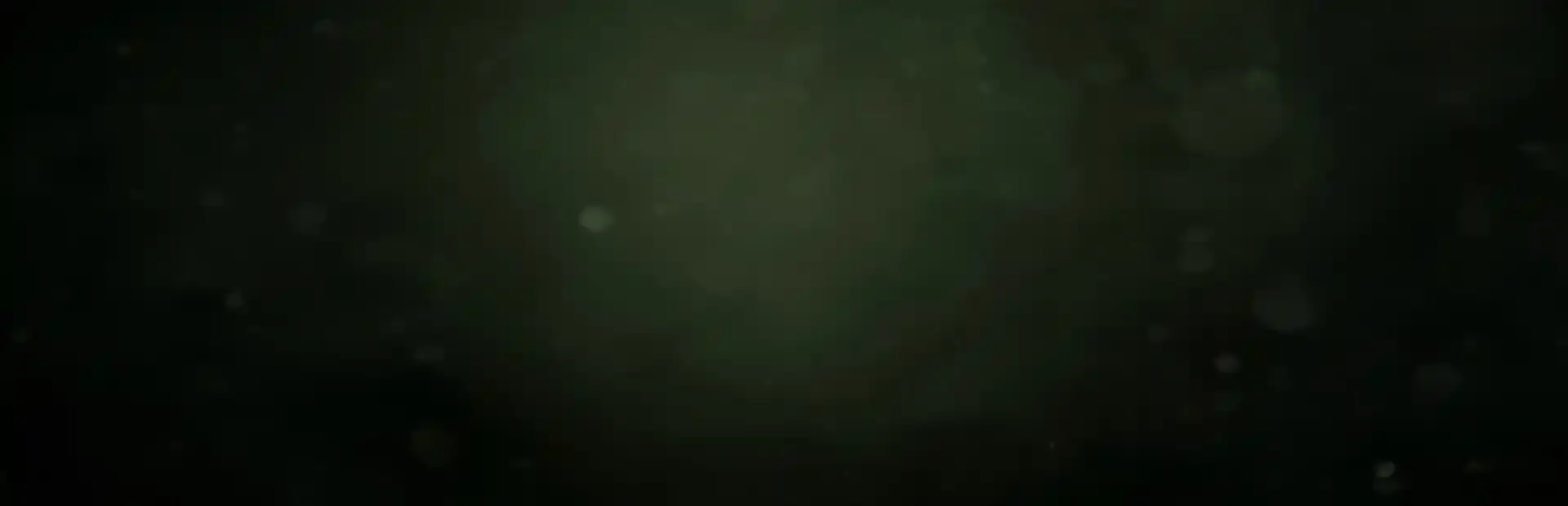 Paranormal VHS background