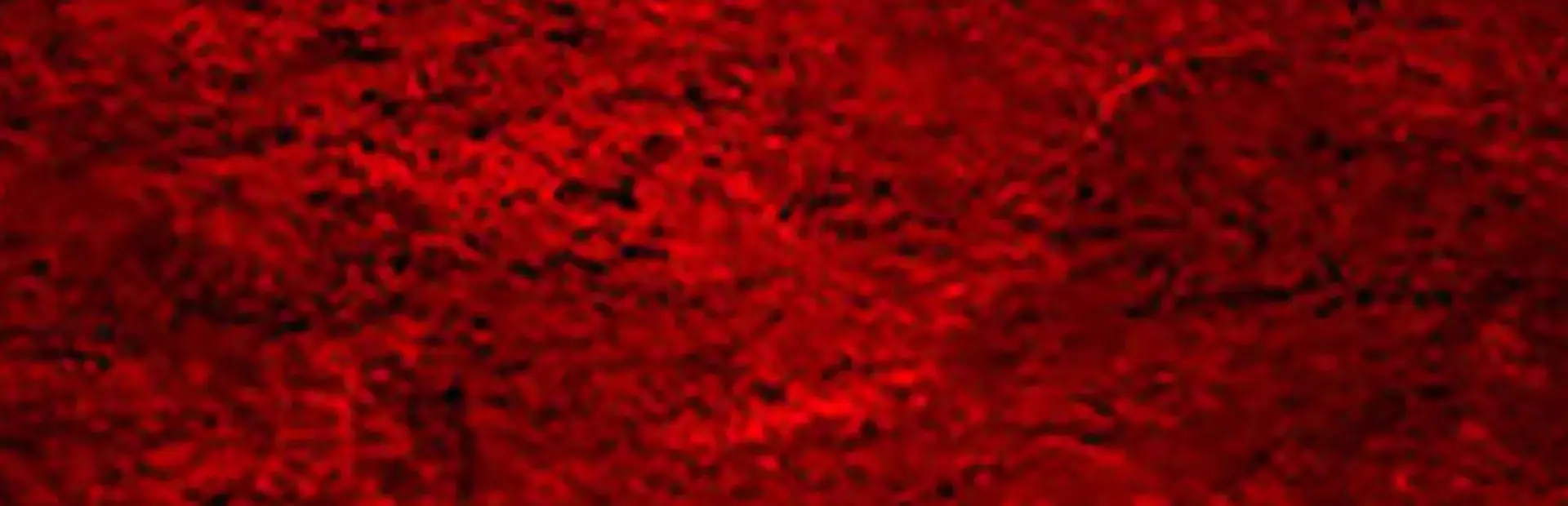 Cadoom background