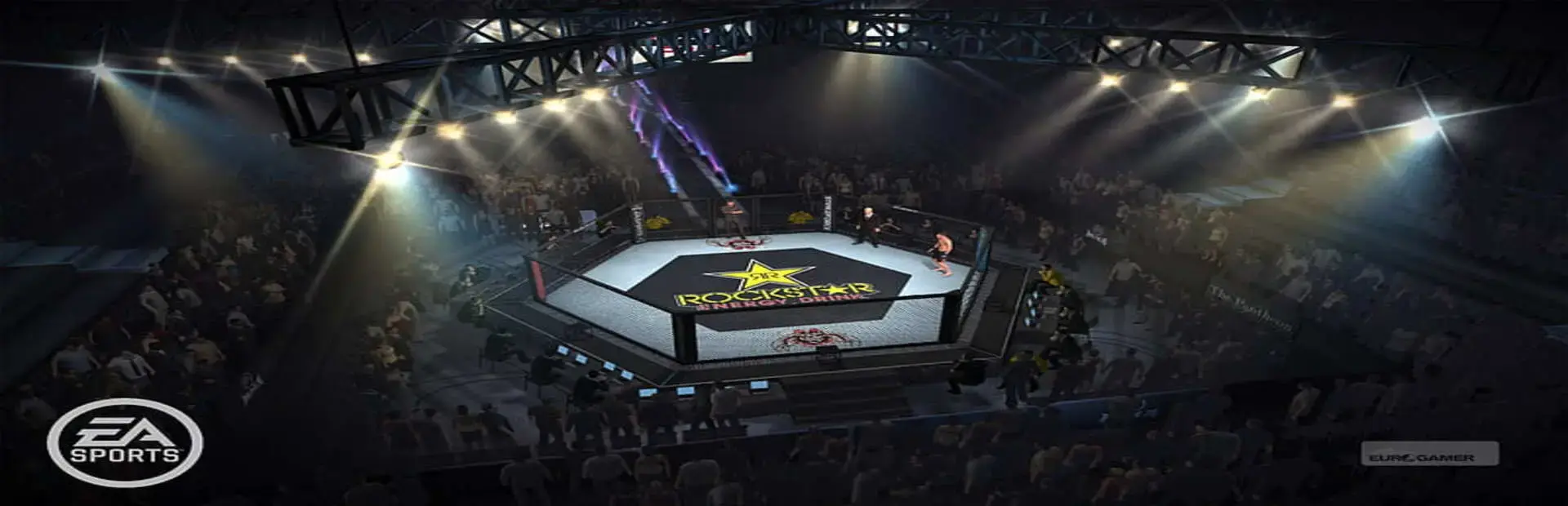 EA Sports MMA background