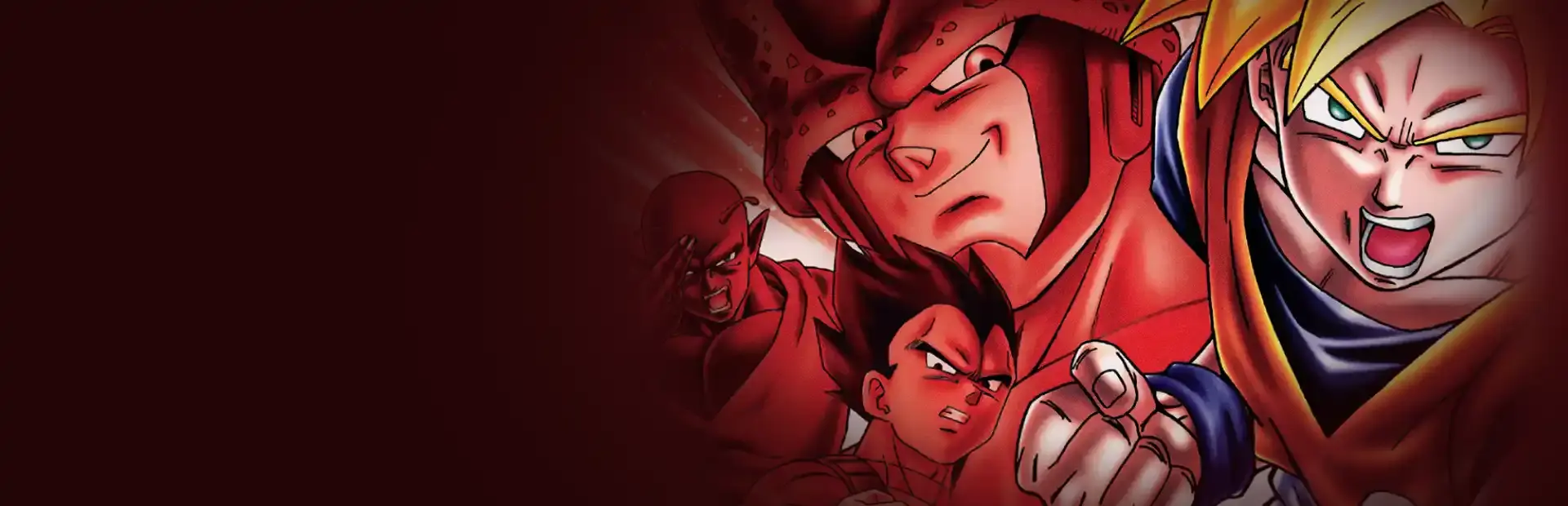 Dragon Ball Z: Budokai background