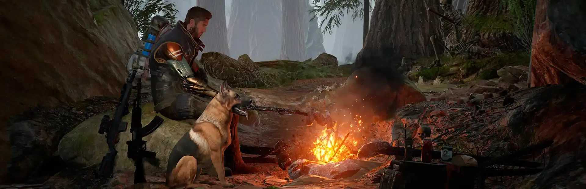 Life Effect background
