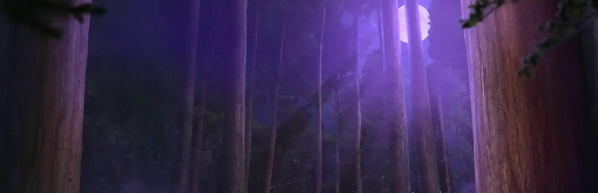 Edge of Reality: Lost Secrets of the Forest Collector's Edition background