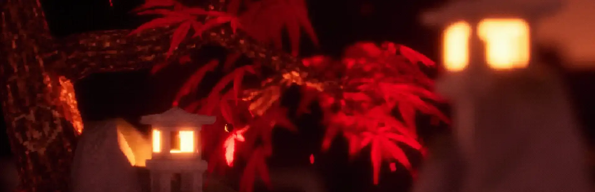 Tiny Tree Talk background
