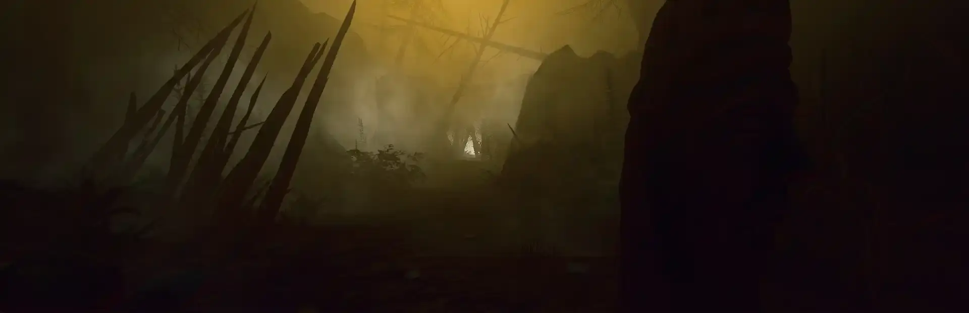 Dark Forest: Lost Story VR background