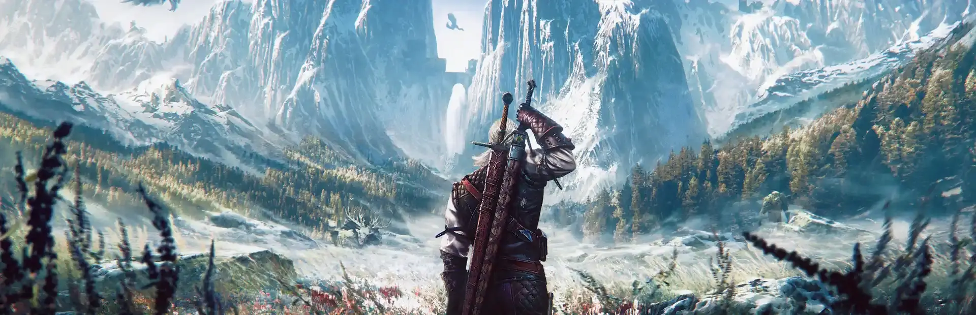 The Witcher 3: Wild Hunt - Collector's Edition background