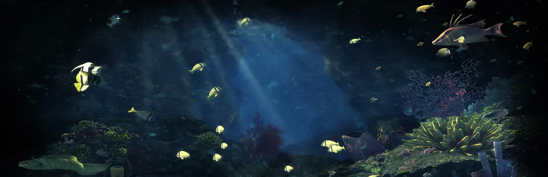 Depth Hunter 2: Deep Dive background