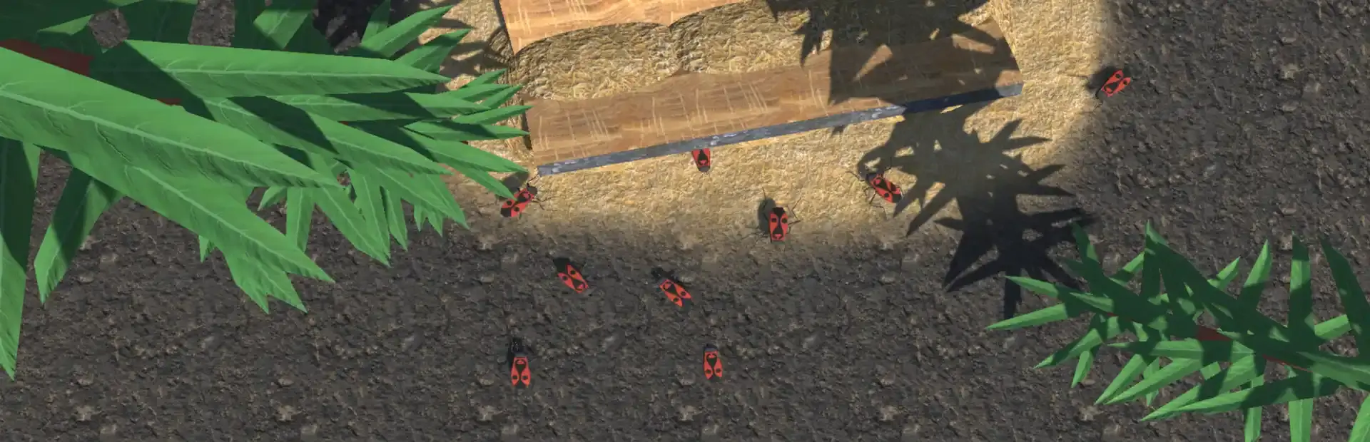 Insect Simulator background