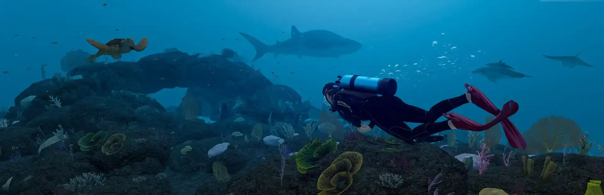 Dive with Sylvia VR background