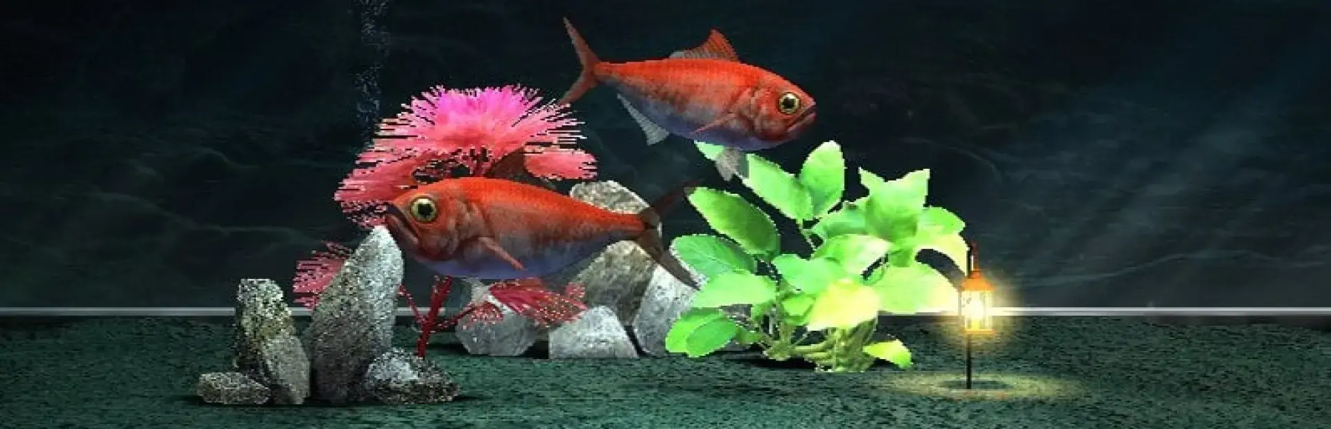My Aquarium 2 background
