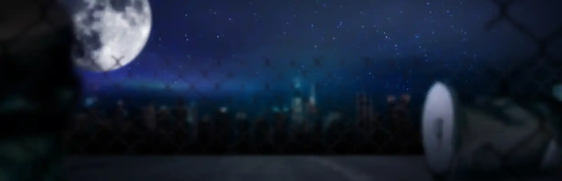 Raccoon Tales background