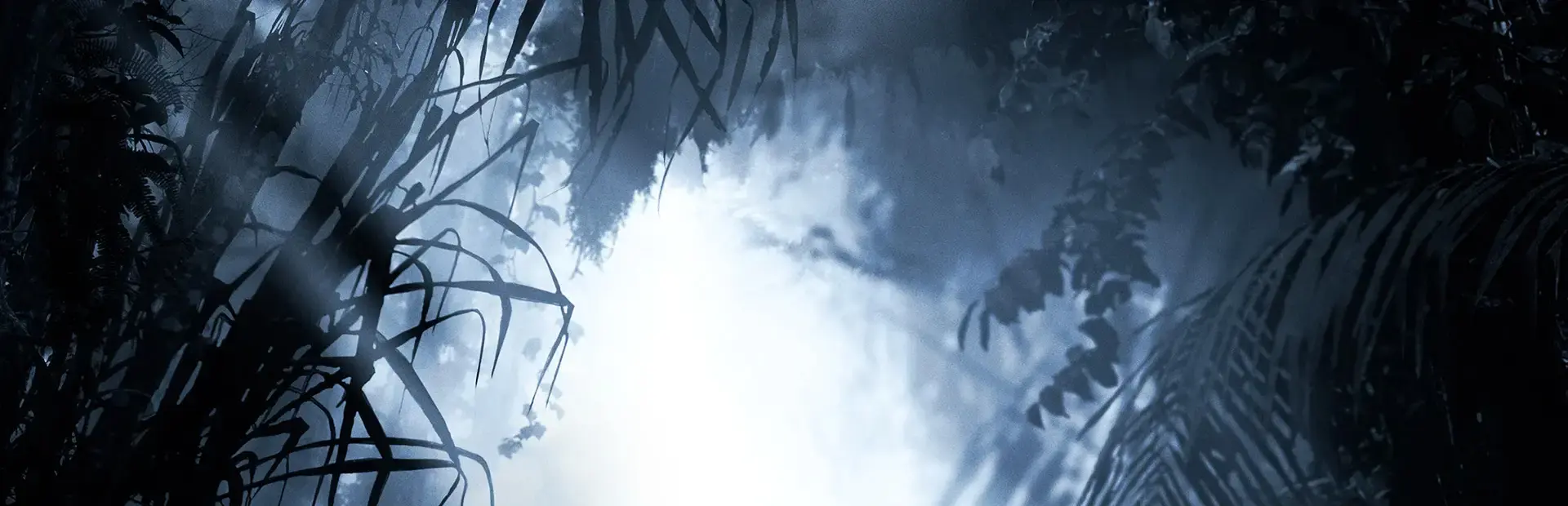 Uncharted 4: A Thief's End Libertalia Collector's Edition background