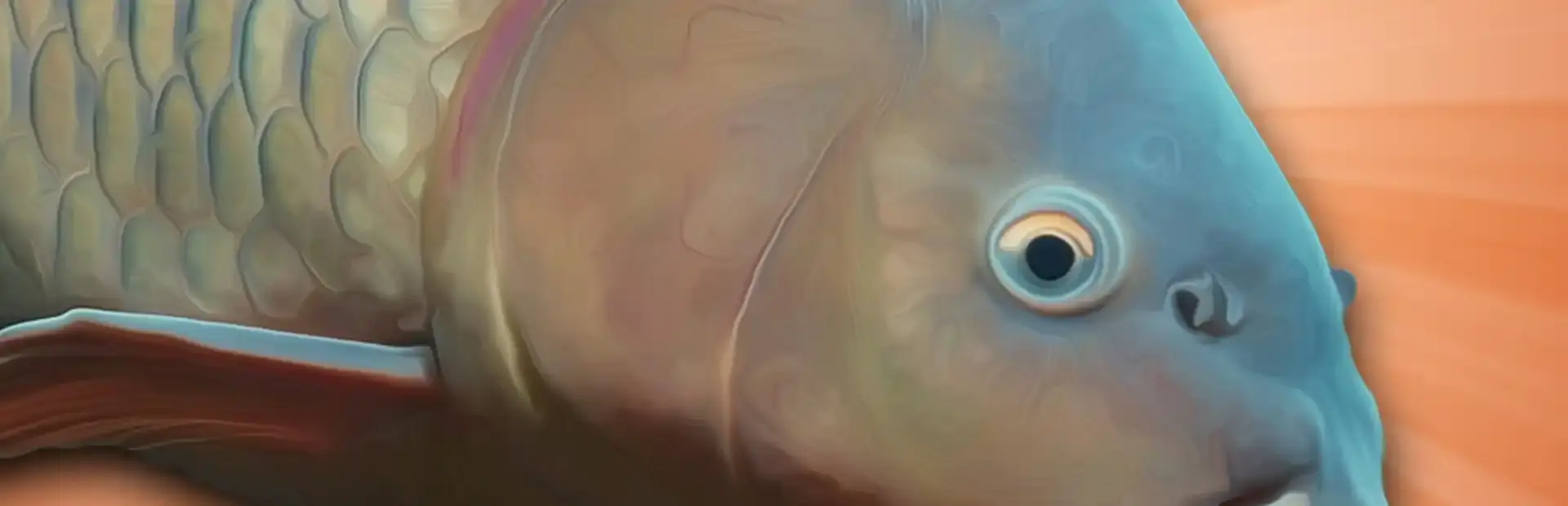 Carp Fishing Simulator background