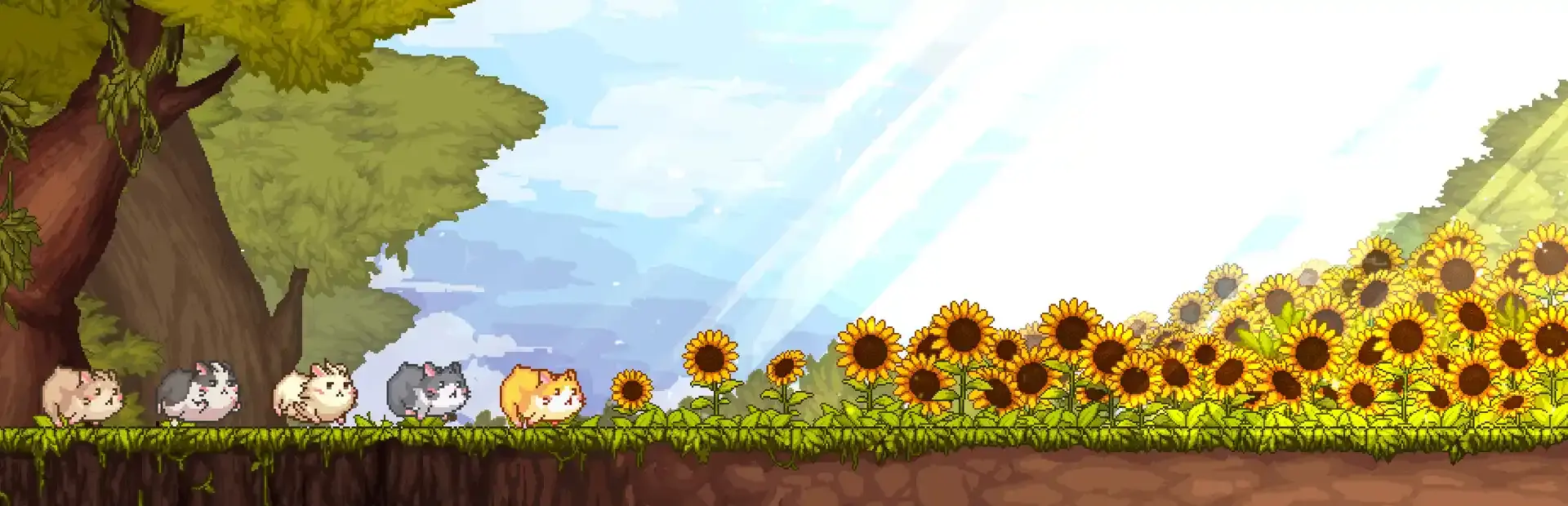 Super Hamster Ball background