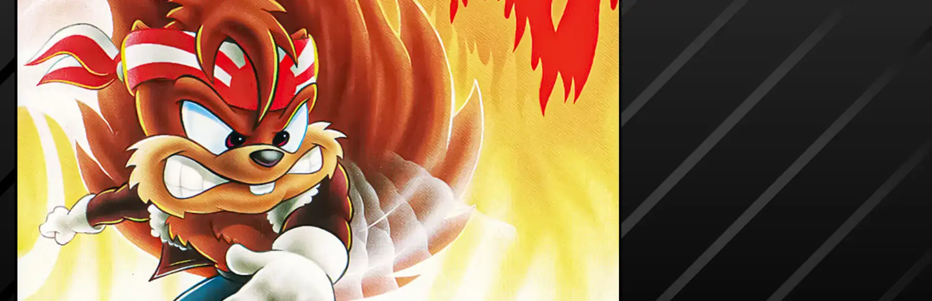 Zero the Kamikaze Squirrel background