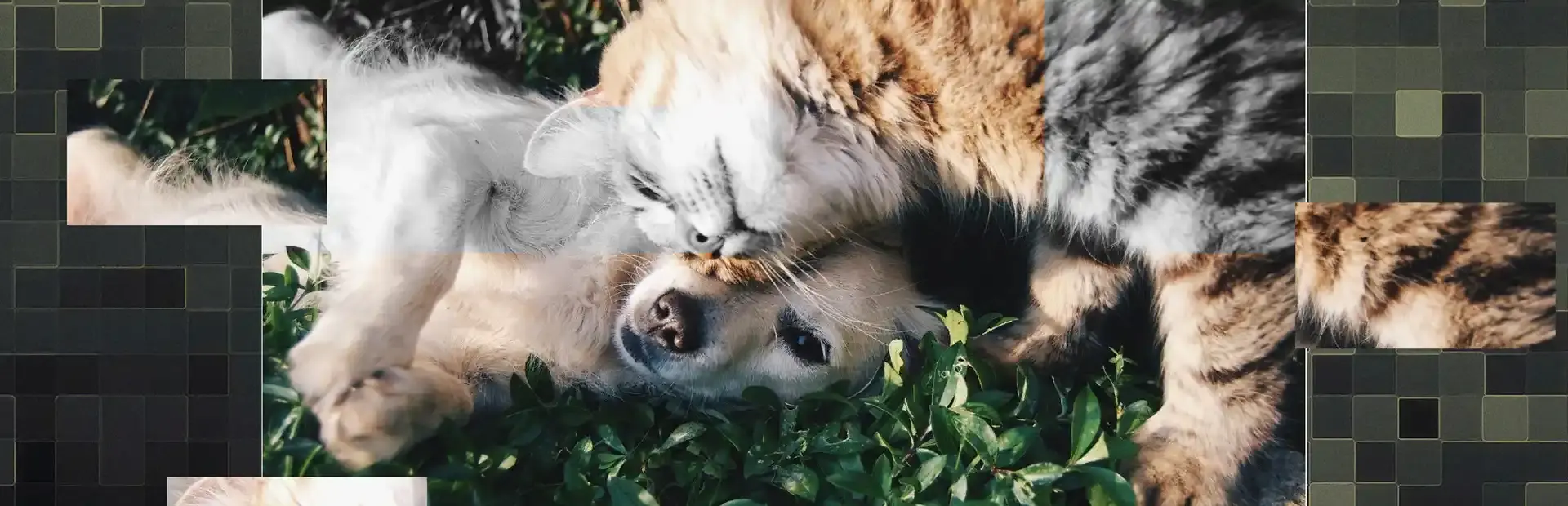 Good puzzle: Animals background