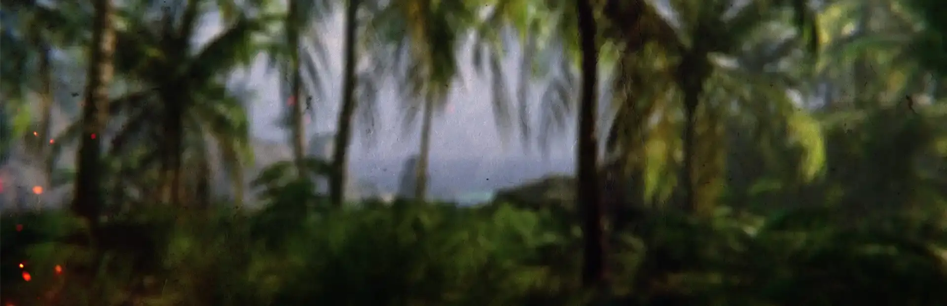 Project Castaway background