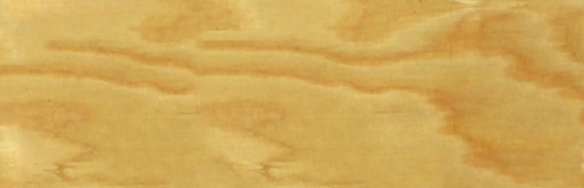 Tony Hawk: Ride background
