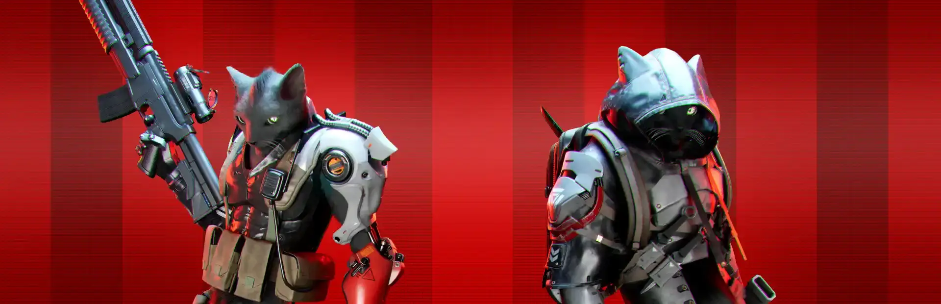 MindKatt background