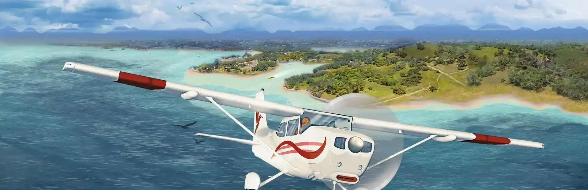 Coastline Flight Simulator background