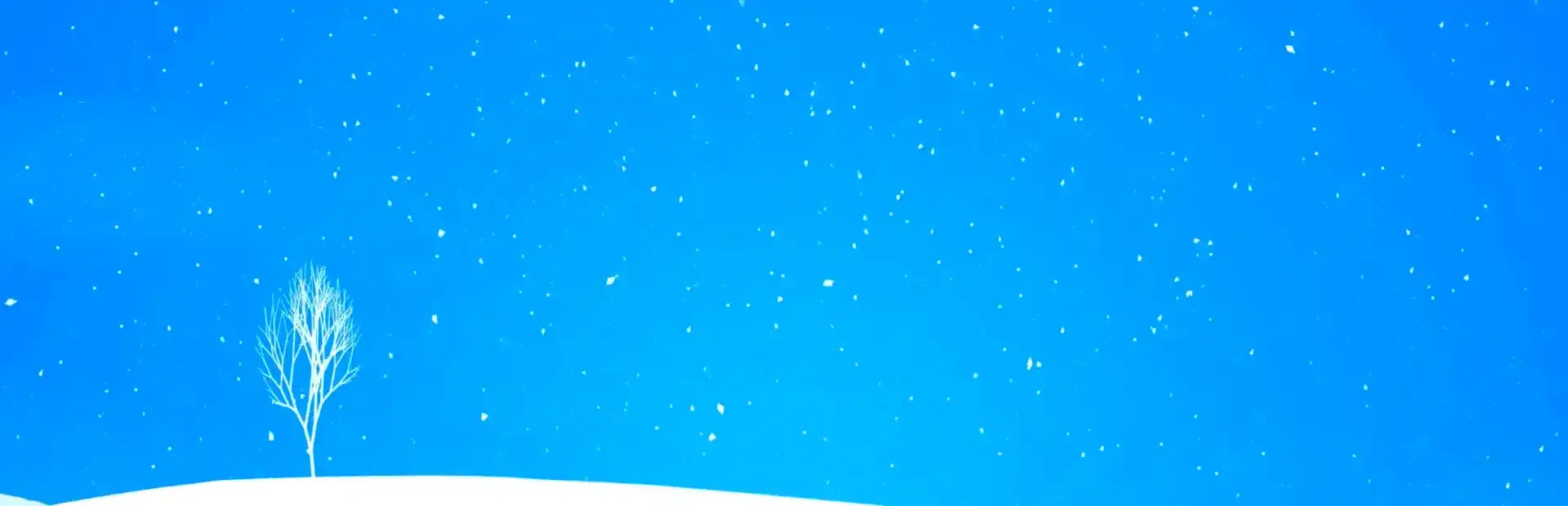 Winfray background