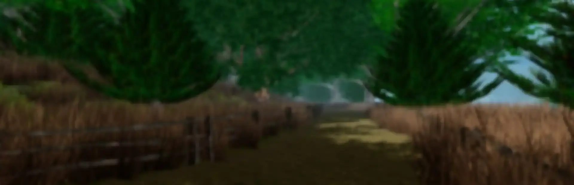 Dragon Storm background