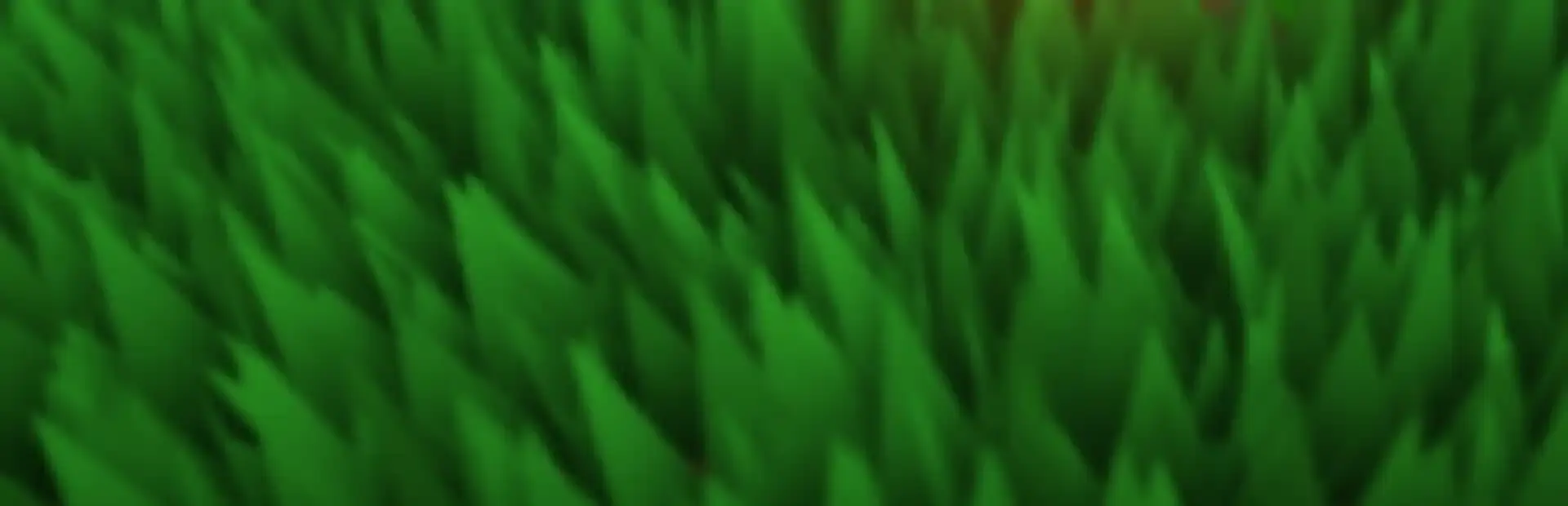The Rogue background