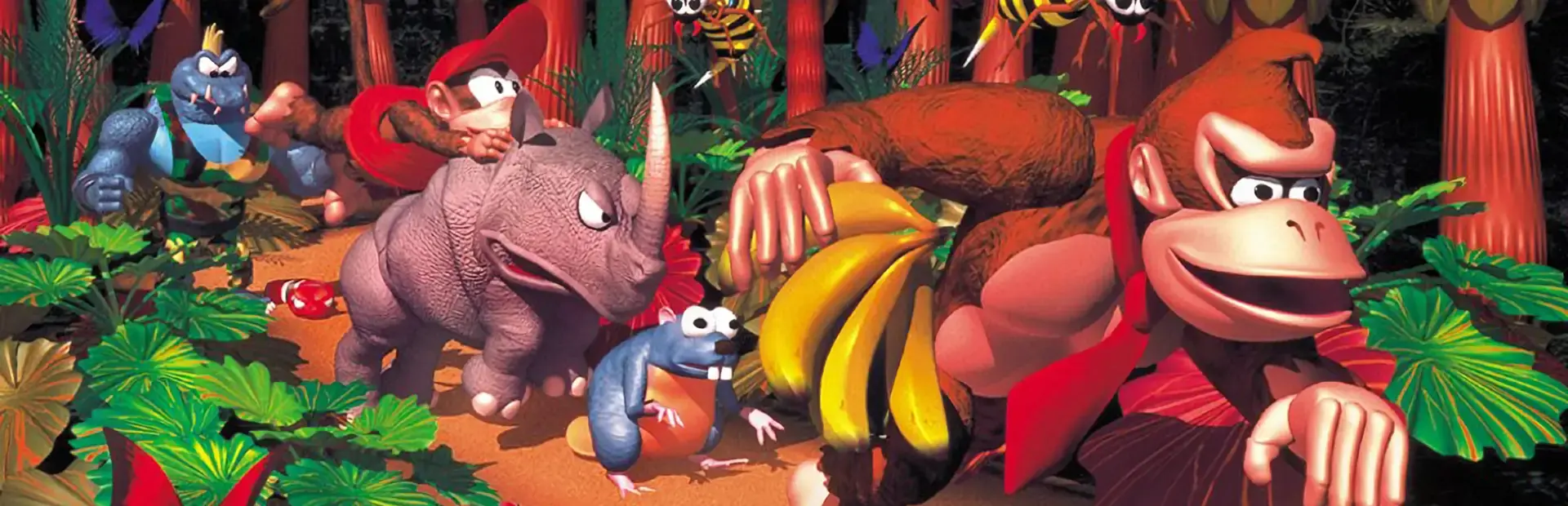 Donkey Kong Country background