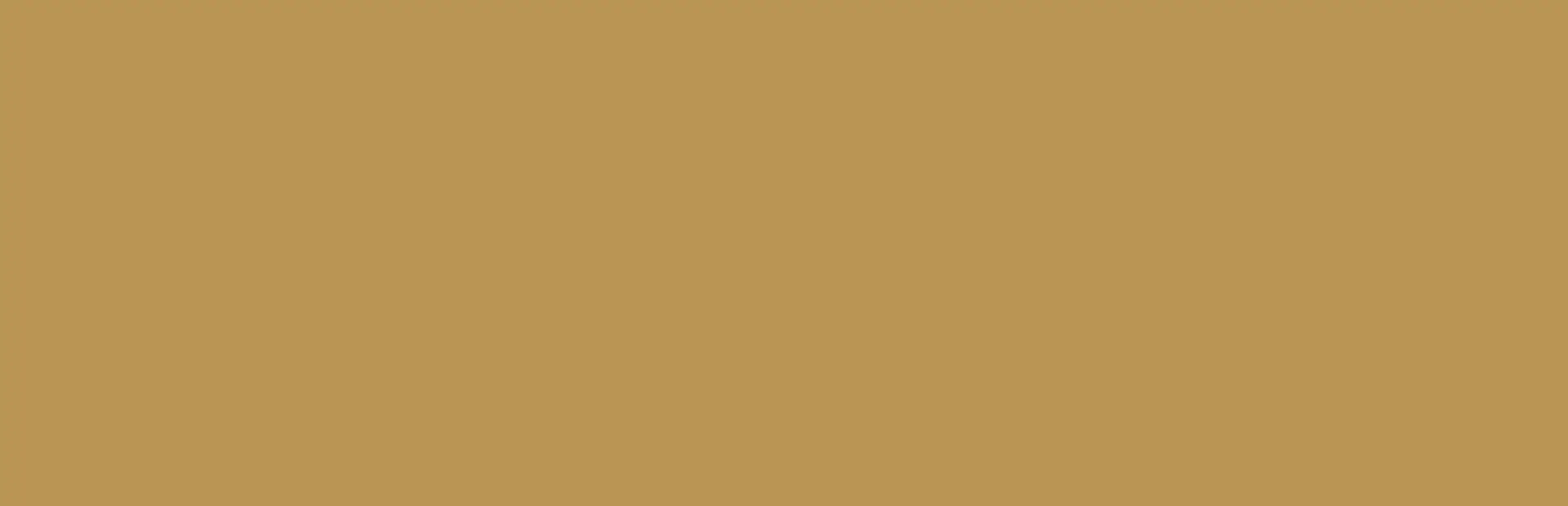 Classic NES Series: The Legend of Zelda background
