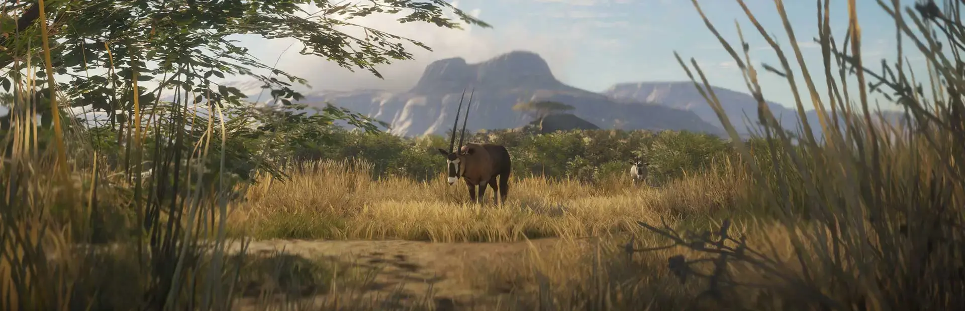 TheHunter: Call of the Wild - 2021 Edition background