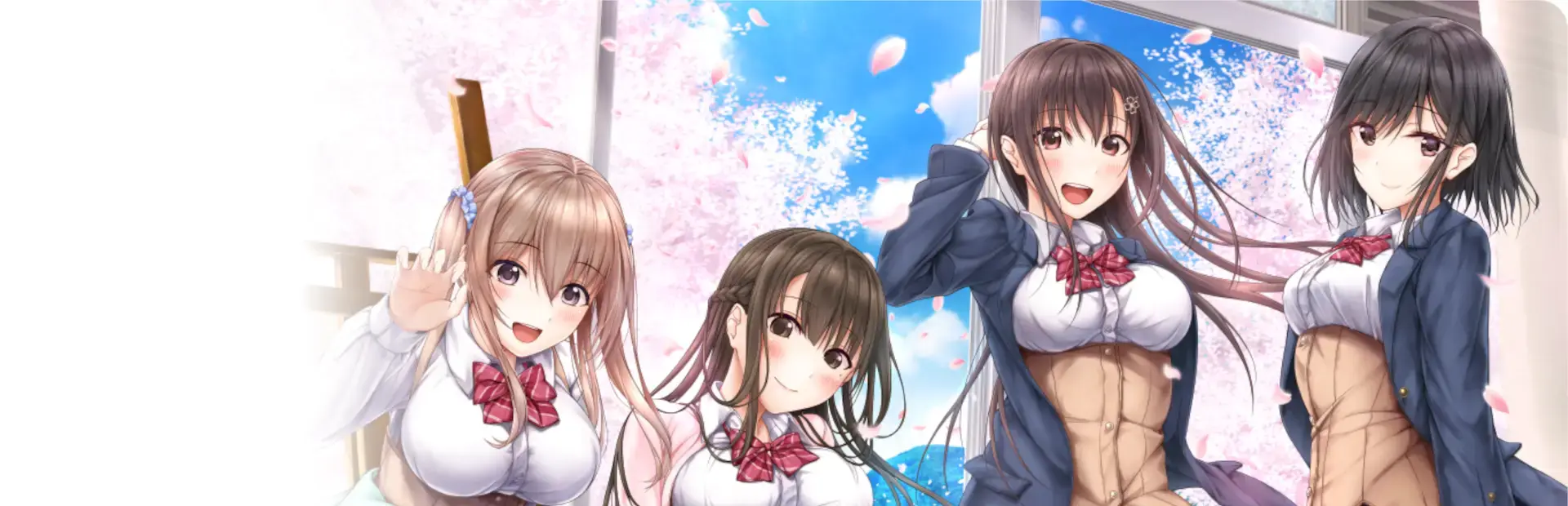 Aikiss background