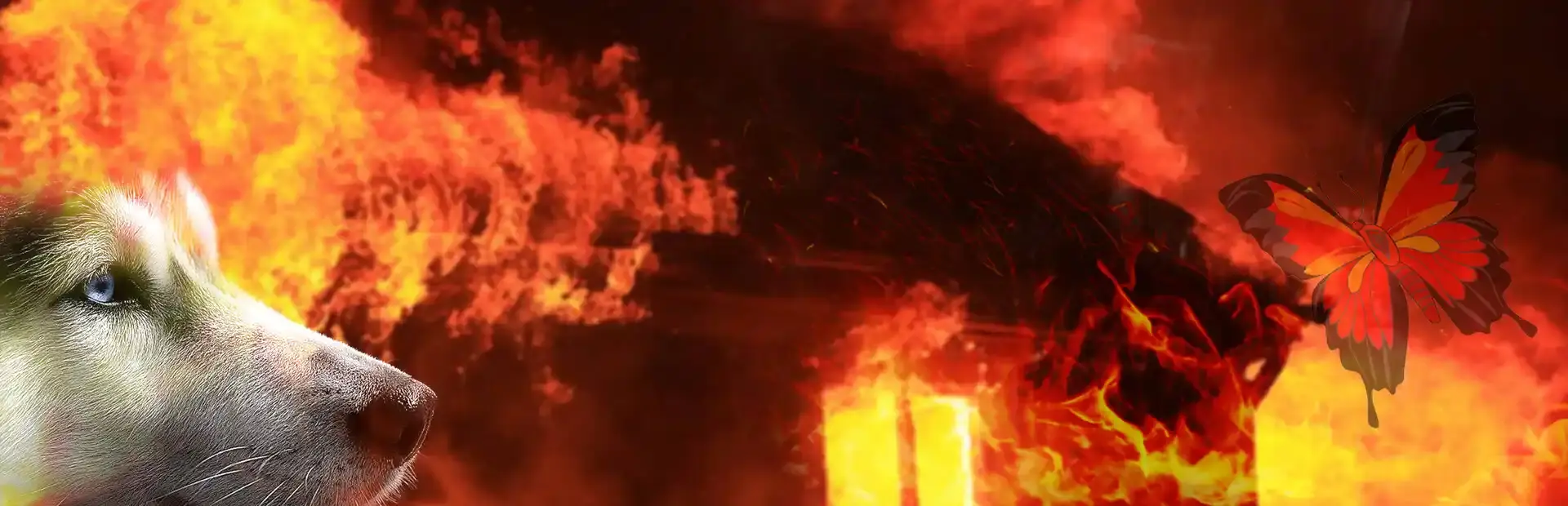 Burn Me Alive background