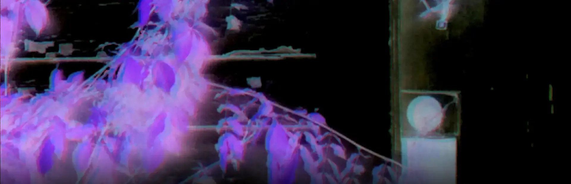Haunted Cities background