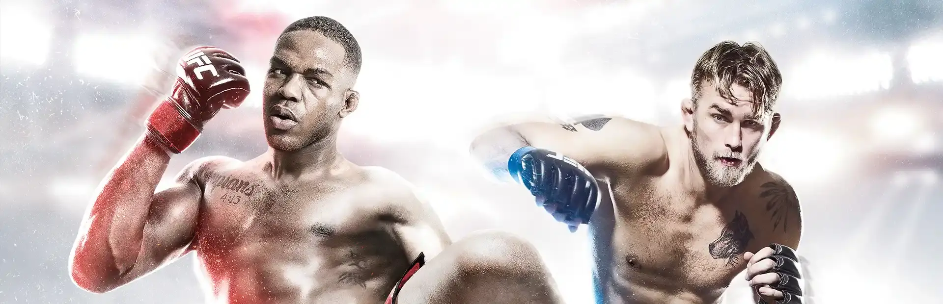 EA Sports UFC 6: Ultimate Edition background