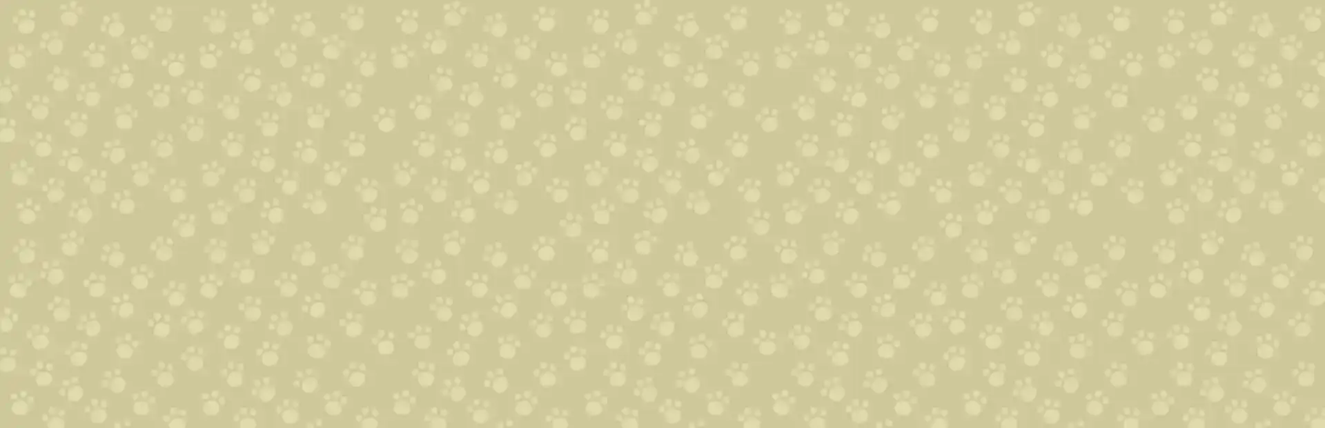 Cat Secretary background