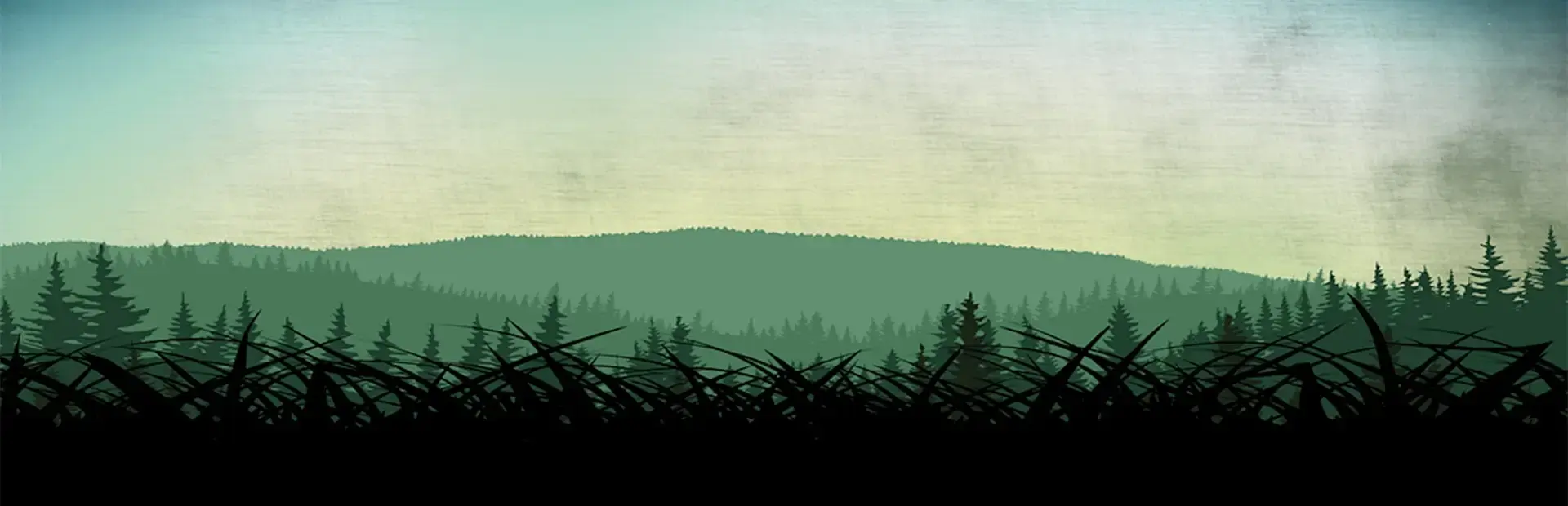 Vive le Roi background