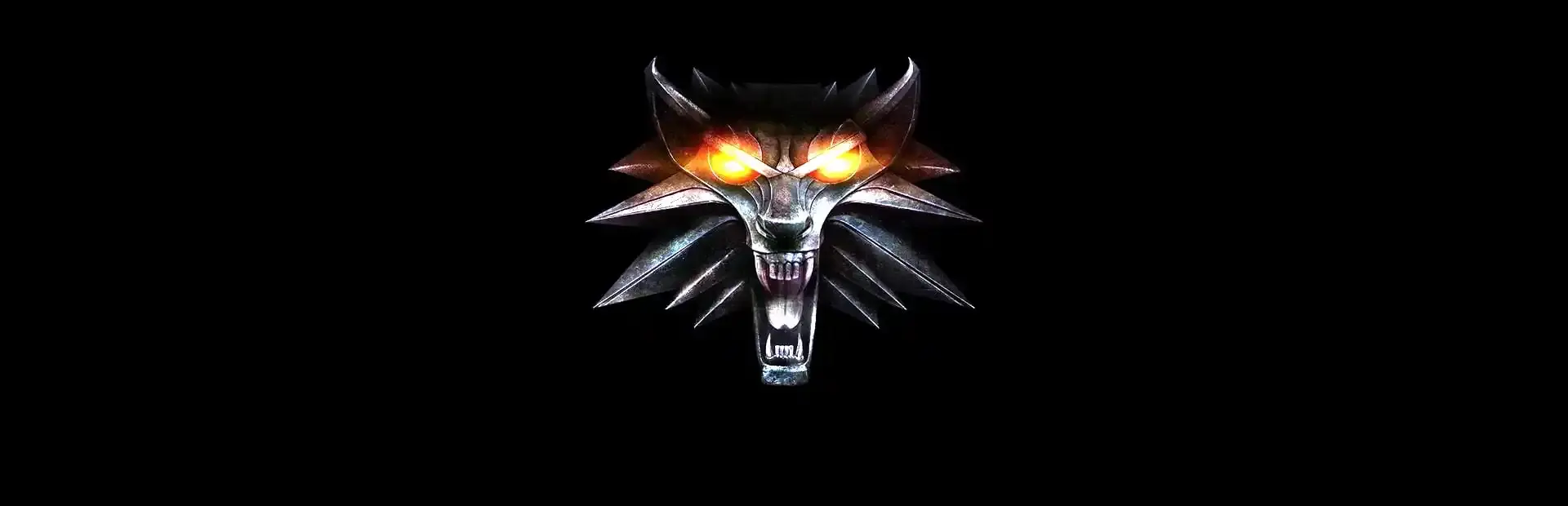 The Witcher 2: Assassins of Kings background