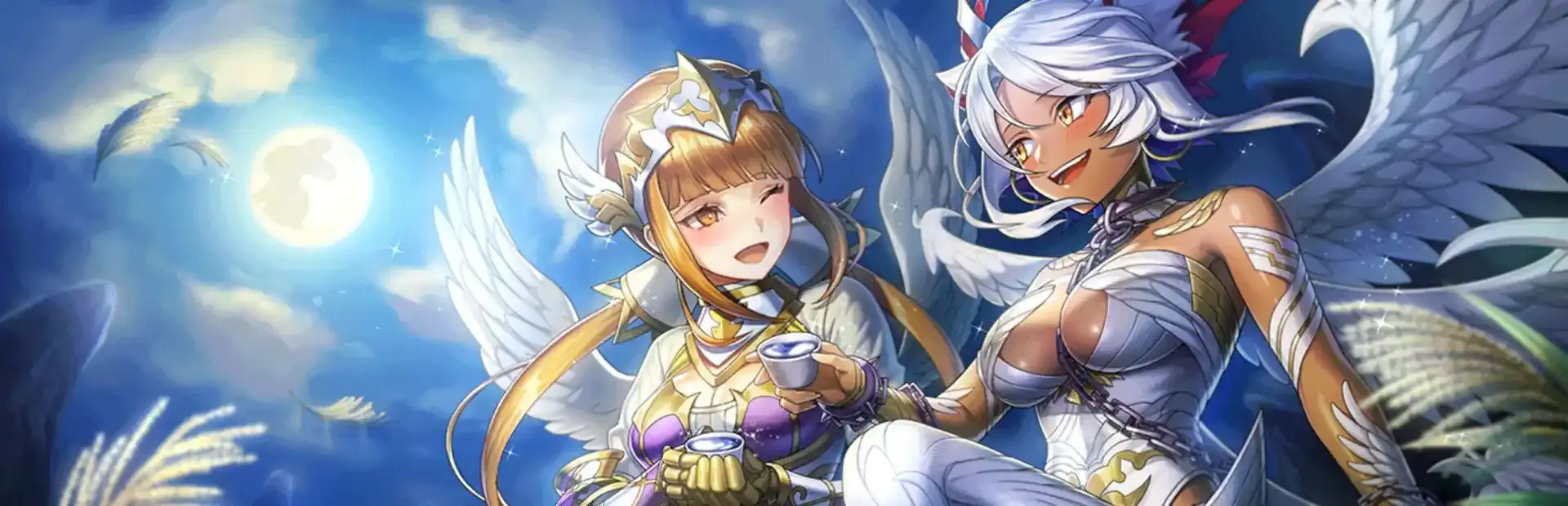 Valkyrie Connect background