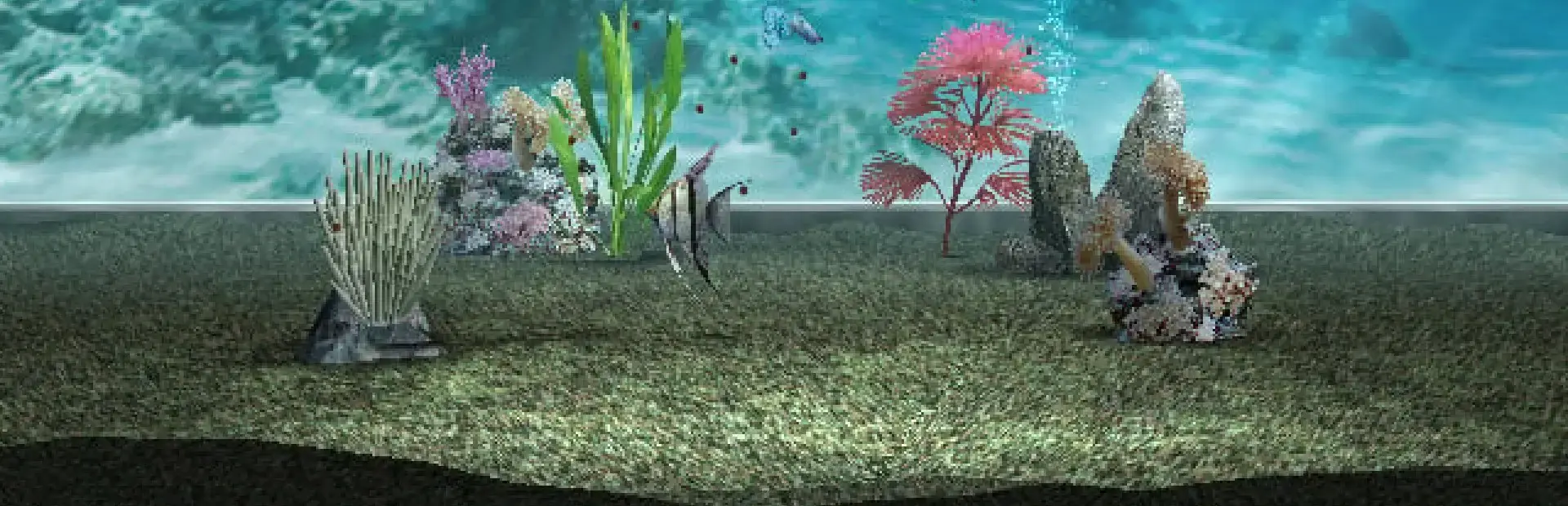 My Aquarium background