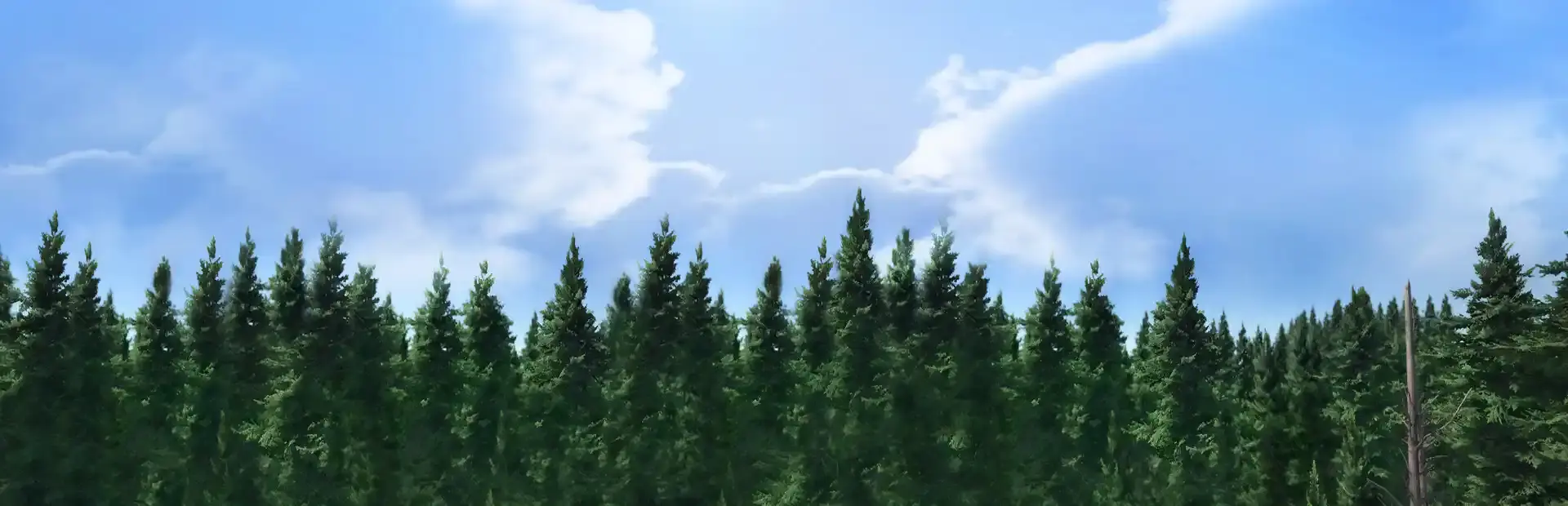 Rising World background