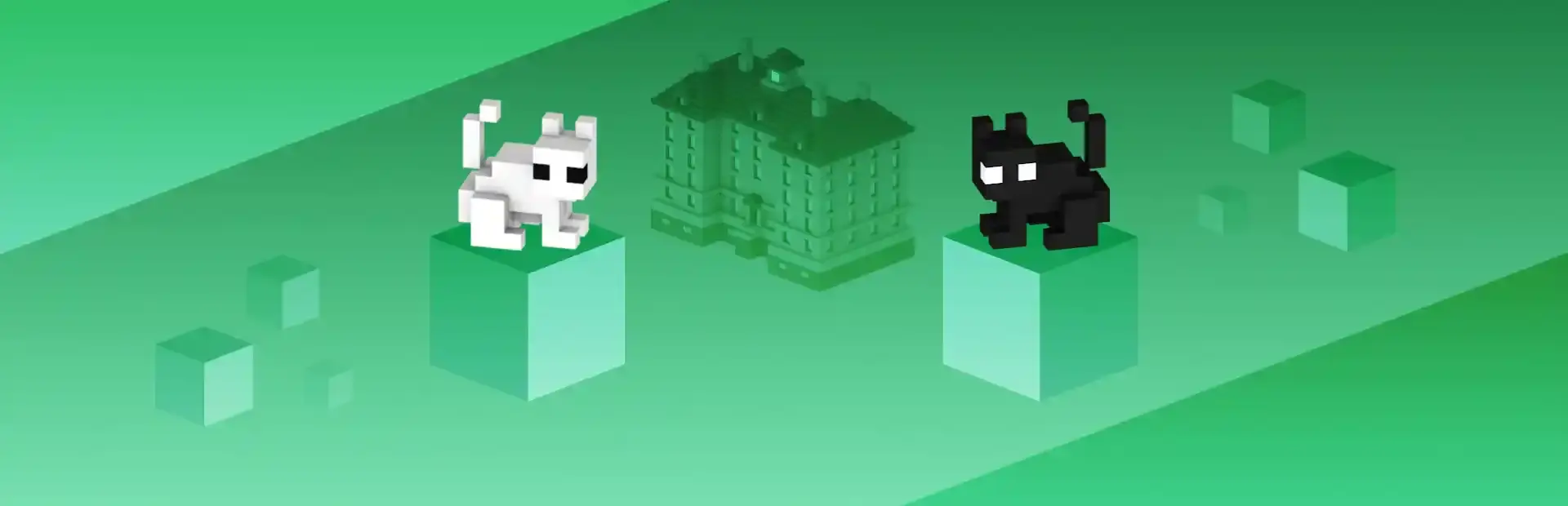 Cat Box Paradox background