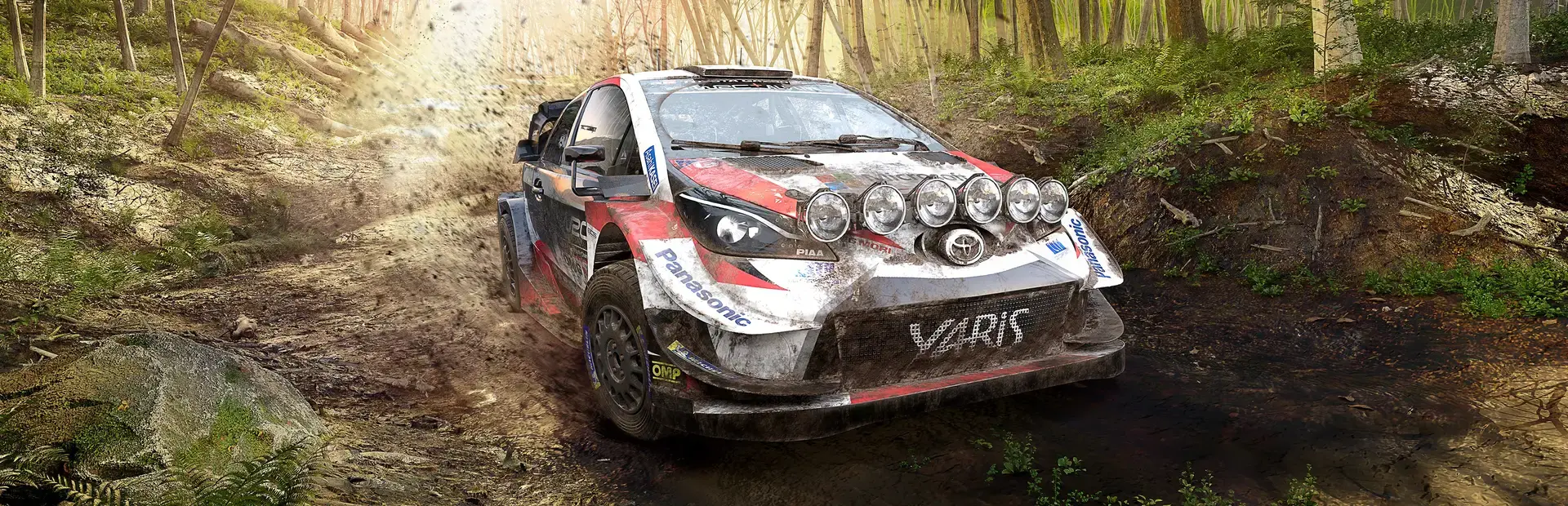 WRC 9: Deluxe Edition background