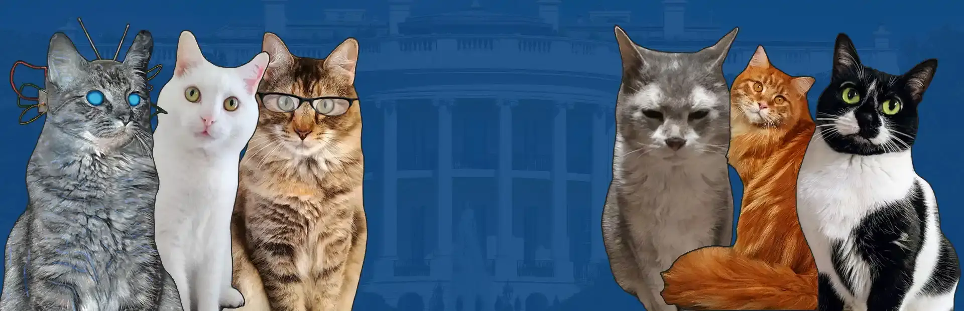 Cat President 2: Purrlitical Revolution background