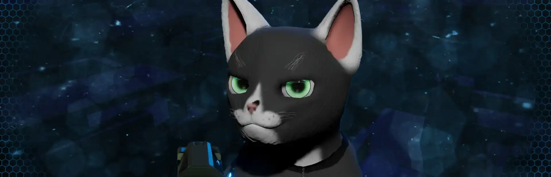 Cat Warfare background