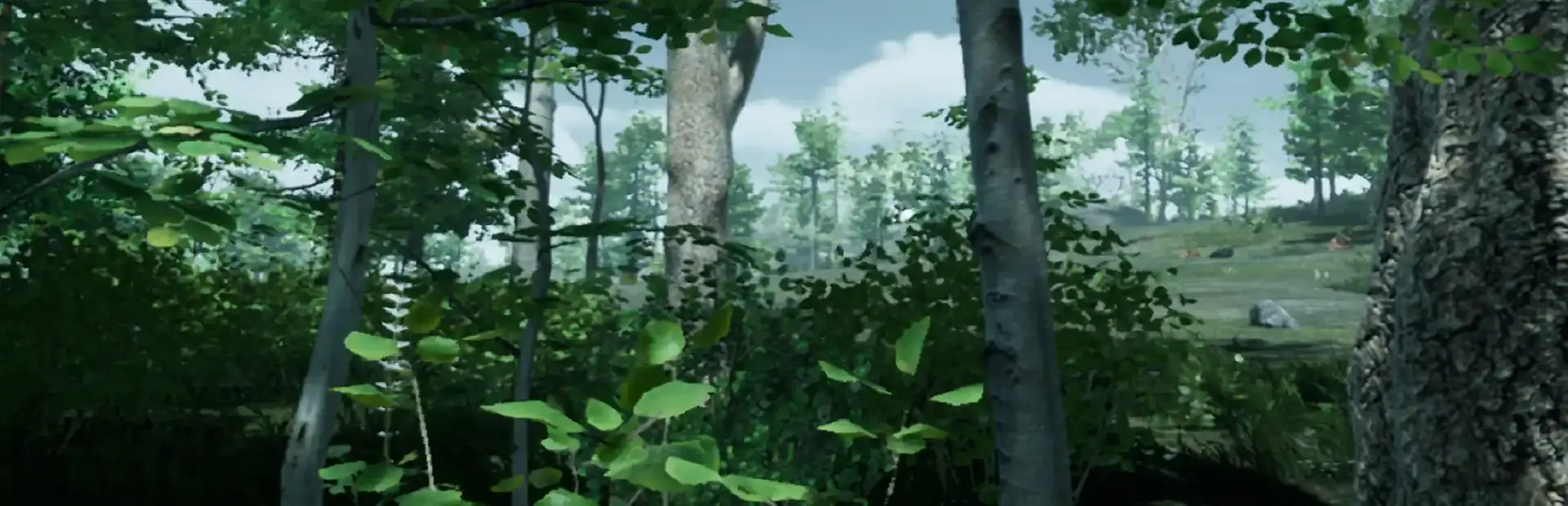 The Isle Survival background