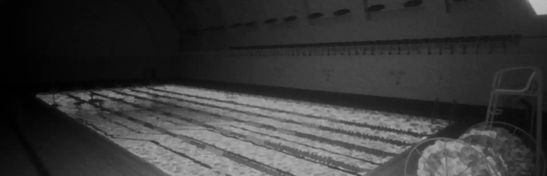 8AM: The Swimming Pool background