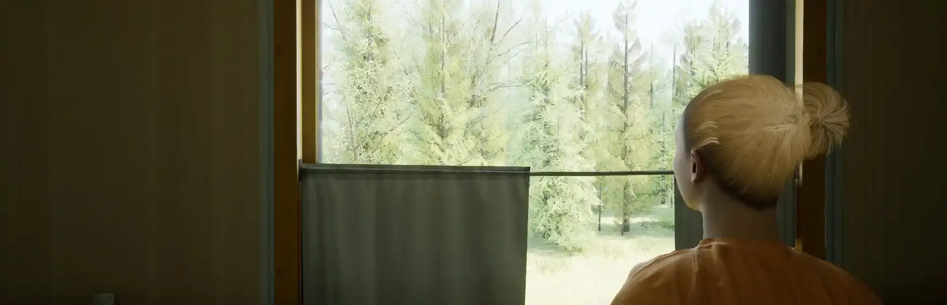 Russian Train Trip 2 background